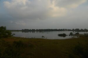 Read more about the article Iyengar Kulam