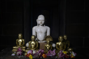 Read more about the article Jain Temple Thirupparuthikundram