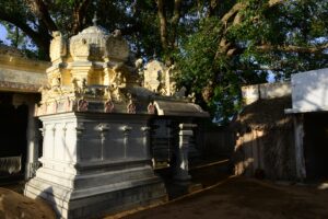 Read more about the article Kailasanathathar  Sevilimedu