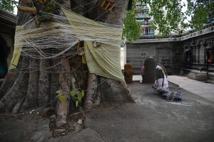 Read more about the article Adi Kamatchi Temple