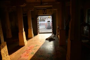 Read more about the article Astabuja Perumal Temple