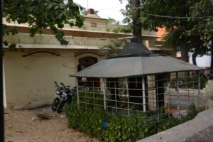 Read more about the article Buddha Statues