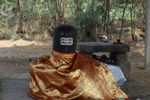 Read more about the article Nabuleaswarar Temple