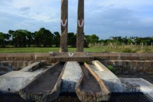 Read more about the article Nadavavi Kinaru Iyengar kulam