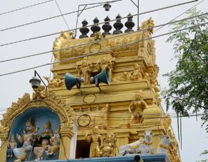 Read more about the article Nataraja Temple