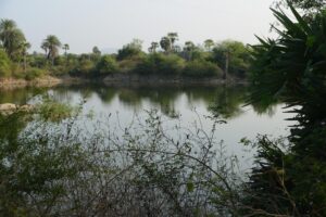 Read more about the article Ramar Kulam Thirumalpadi